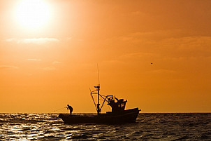Fishing boat at sea during sunset