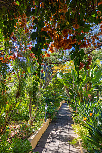 Jardín Sitio Litre - Puerto de la Cruz - Tenerife