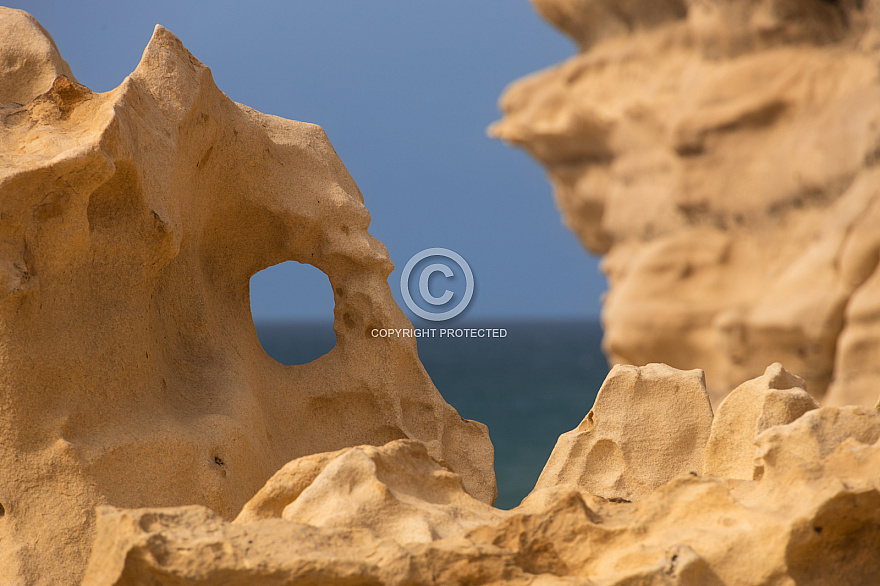 Fuerteventura: Crocodile Rock
