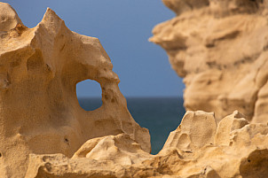 Fuerteventura: Crocodile Rock