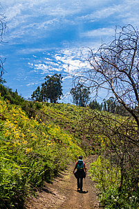 Hiking near Fontanales