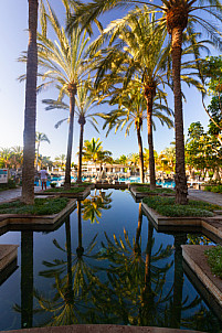 Palm Oasis Hotel in Sonnenland