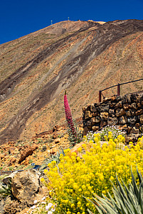 Tenerife: Las Cañadas, Mirador El Tabonal Negro