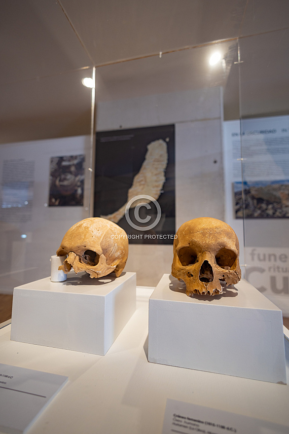 Museo Arqueológico de Fuerteventura