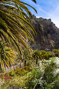 Tenerife: Masca