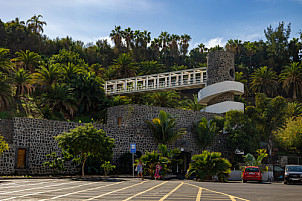 Palmetum entrada - Tenerife