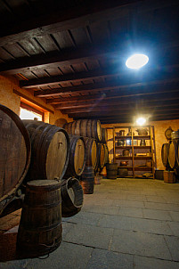 Casa del Vino - Santa Brígida
