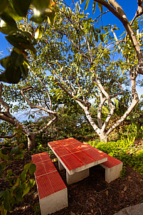 La Palma: Autarca Matricultura Permacultura