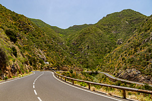 On the road near Las Rosas - La Gomera