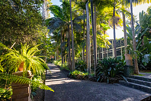 Jardín de la Marquesa - Gran Canaria