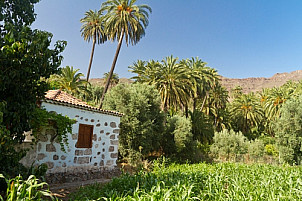 Rural Santa Lucía