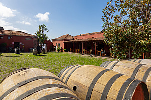 Casa del Vino - Tenerife