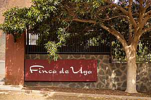 Lanzarote: Queseria Finca de Uga