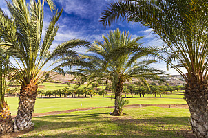 El Salobre Golf Resort