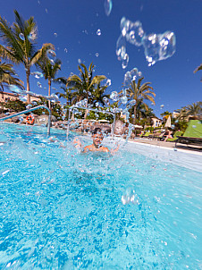 Pool Fun Palm Oasis
