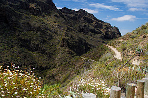 Barranco del Infierno - Tenerife