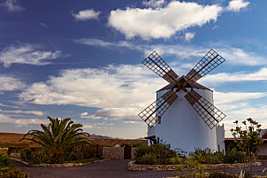 El molino - Fuerteventura