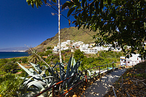 Igueste Tenerife