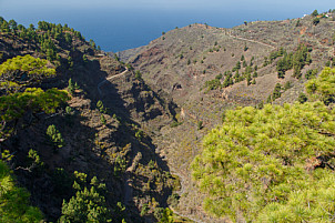 Mirador de Izcagua - La Palma