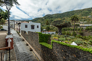 Icod de los Vinos - Drago Milenario - Tenerife