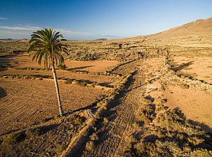 Malpais de la Arena - Fuerteventura