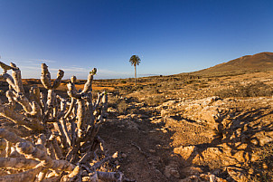 Malpais de la Arena Fuerteventura