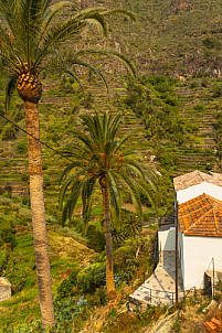 La Gomera: Roques Pedro y Petra Hermigua