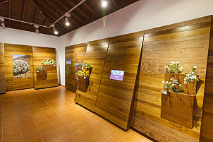 Museo del Queso Fuerteventura