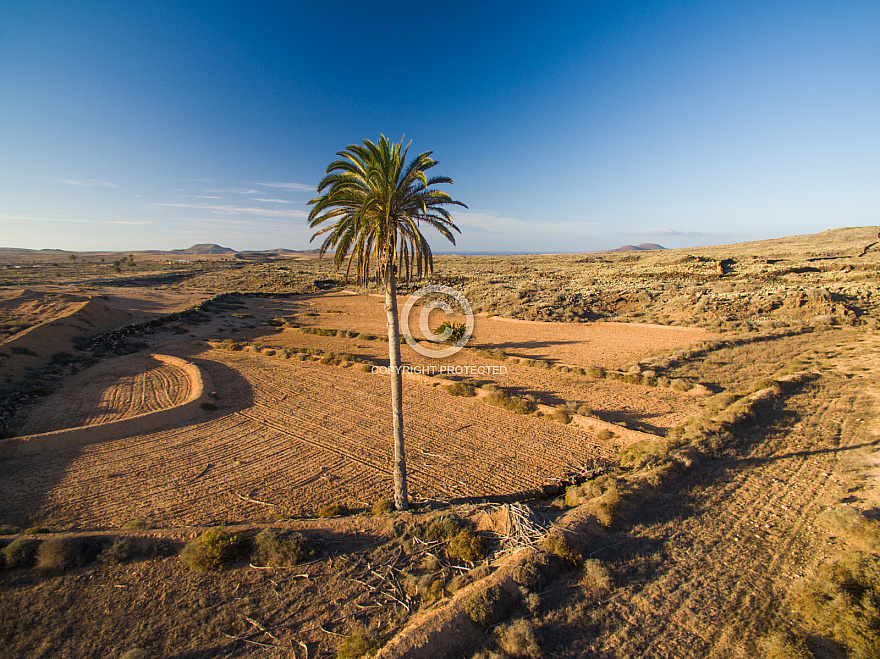 Malpais de la Arena - Fuerteventura
