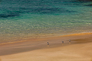 Playa de las Conchas - La Graciosa