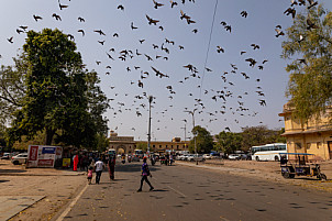 Jaipur - India