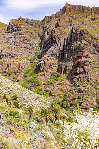Masca - Tenerife