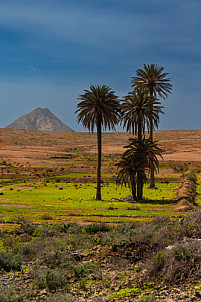 Fuerteventura: Tindaya