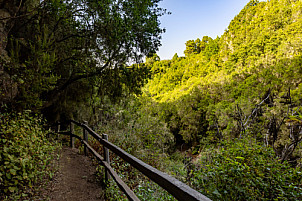 Parque Cultural La Zarza - La Palma
