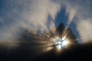 Sunset through fog and trees