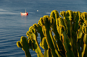Puerto del Carmen - Lanzarote