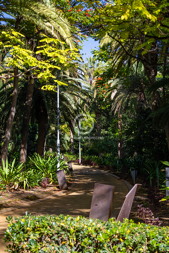 Parque García Sanabria - Santa Cruz - Tenerife