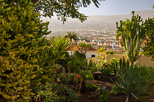 Jardines Hotel Tigaiga - Tenerife
