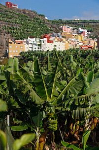 Tazacorte - La Palma
