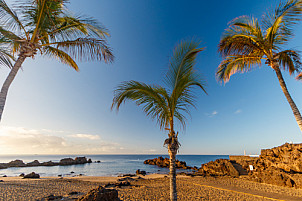 Playa Chica - Puerto del Carmen - Lanzarote