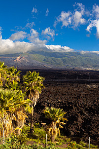 La Palma: Tajogaite