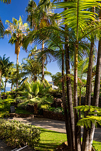Jardines Hotel Tigaiga - Tenerife