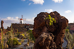Jardín de Cactus - Lanzarote