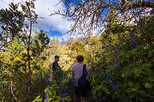 La Palma: Autarca Matricultura Permacultura