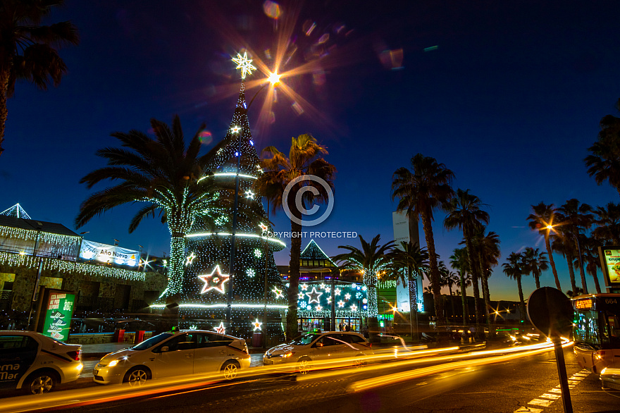 Christmas tree Las Palmas Gran Canaria