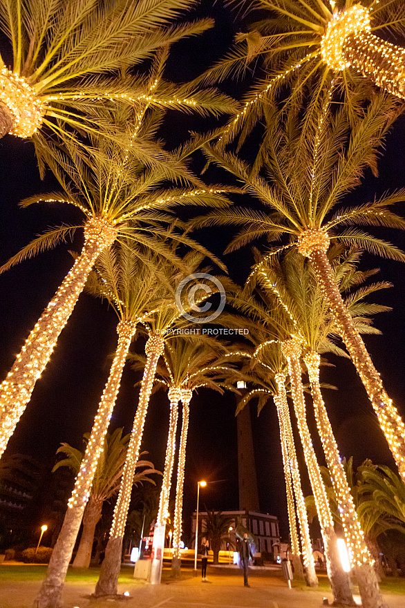 xmas lights palm trees Meloneras