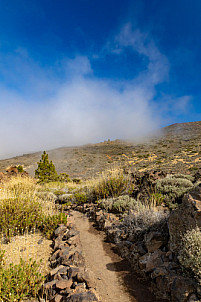 Centro de Visitantes de El Portillo Parque Nacional del Teide - Jardín Botánico - Tenerife
