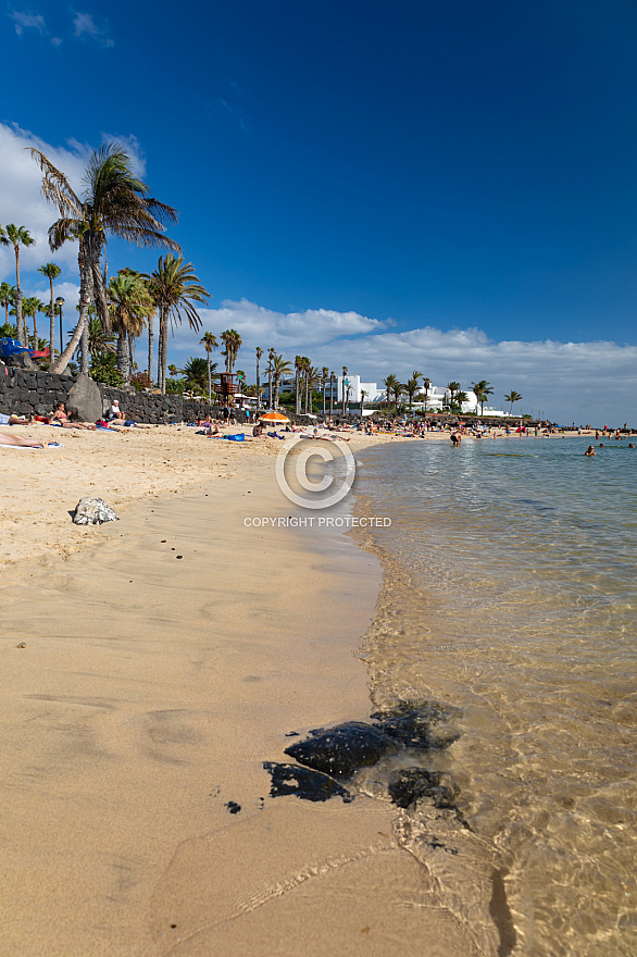 Playa Flamingo - Lanzarote