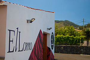 Bodegas El Lomo - Tenerife