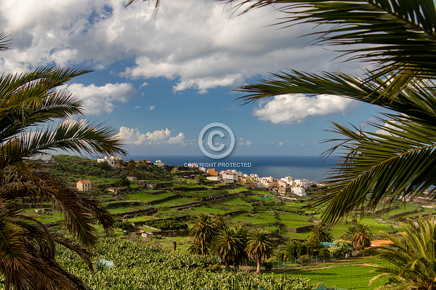 Green north Gran Canaria